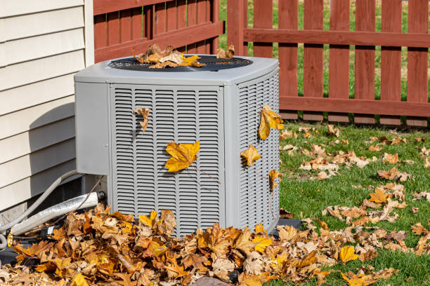 Best Solar-powered HVAC Systems in Colquitt, GA
